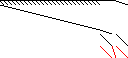 Sparsity of Objective Gradient and Jacobian